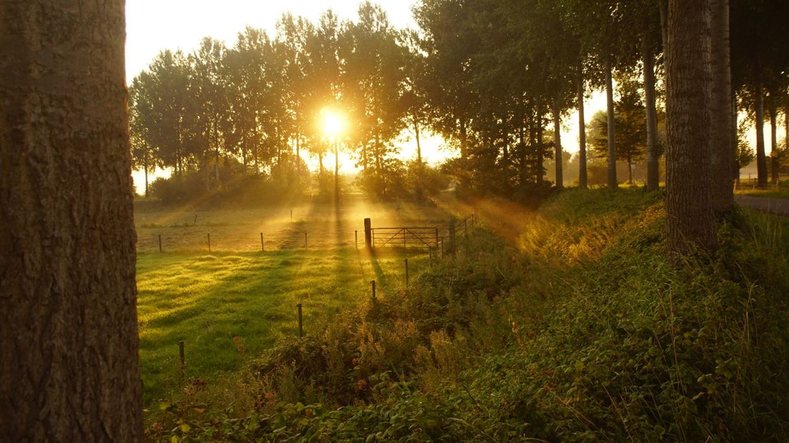 Een 'typisch Zeeuwse dijk' in 's-Heerenhoek