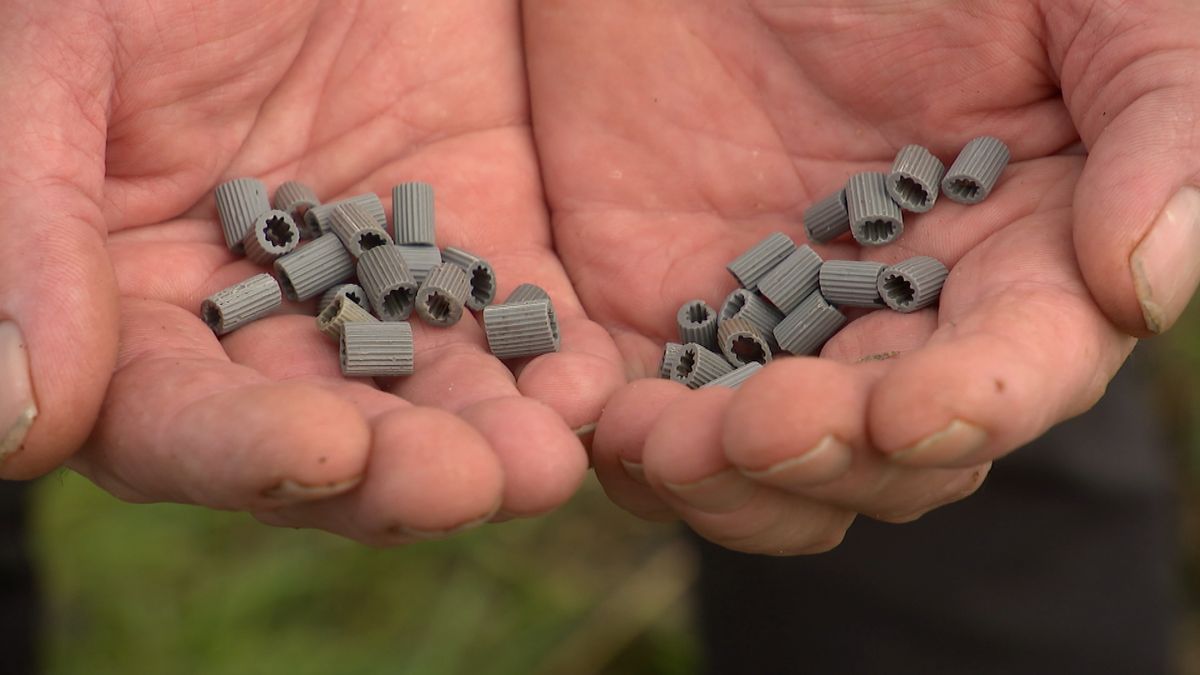 Opnieuw duizenden plastic filters in en rondom de Oosterschelde: 'Een raadsel waar ze vandaan komen'