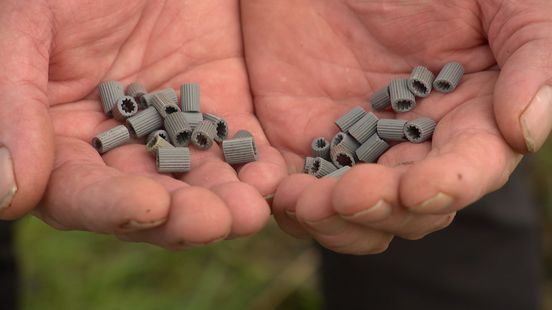 Opnieuw duizenden plastic filters in en rondom de Oosterschelde: 'Een raadsel waar ze vandaan komen' Nieuws