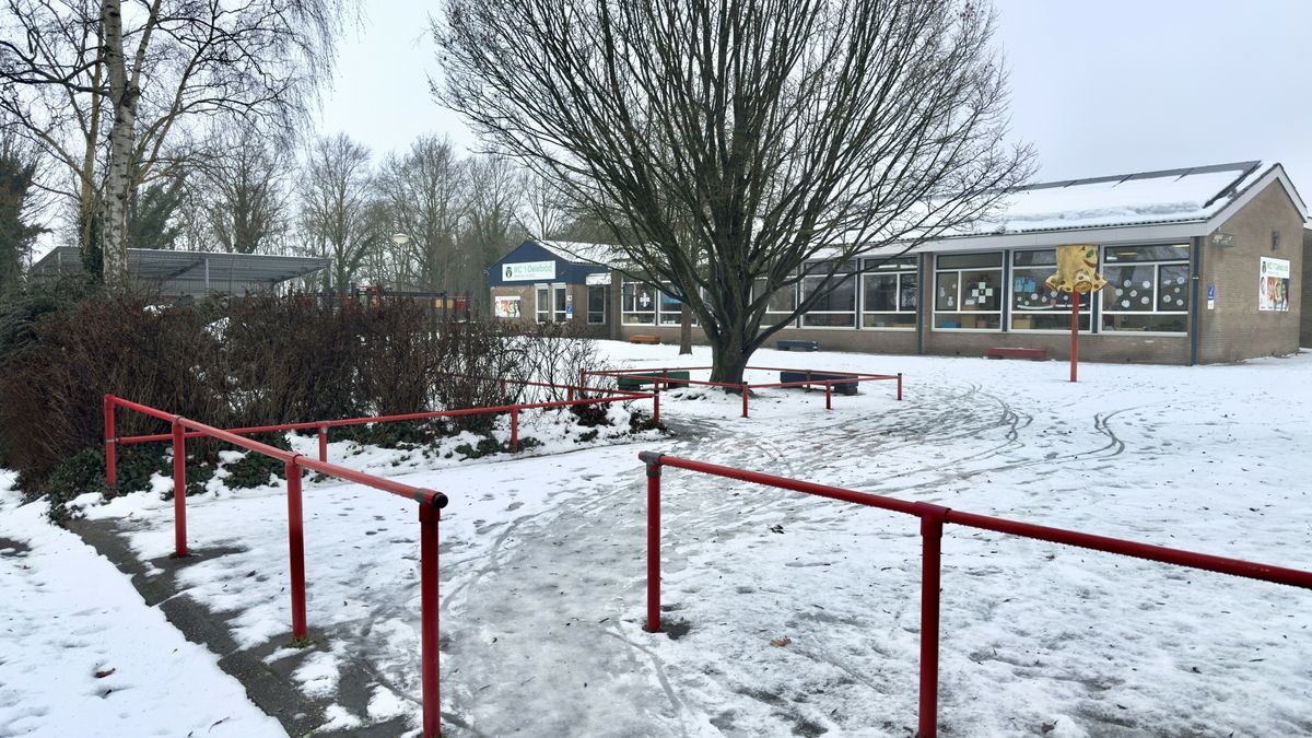 Basisschool in Ruinen morgen weer open: geen wolf meer gezien