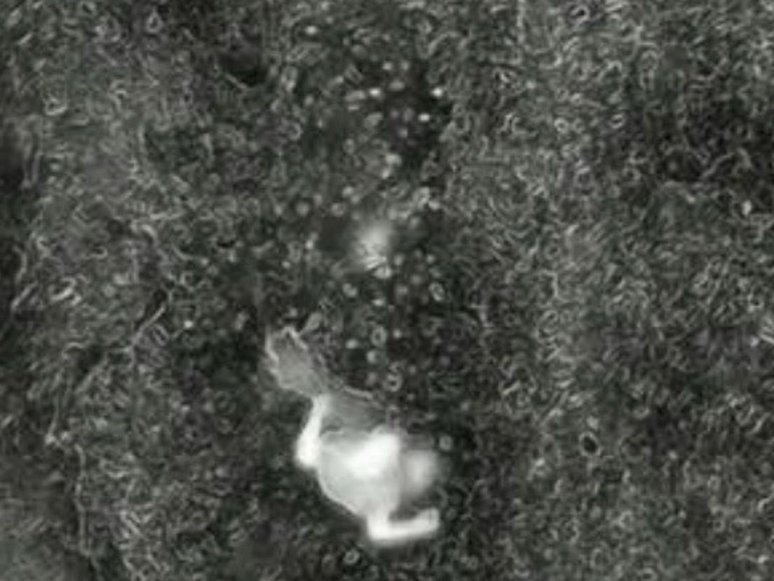 Beeld van de warmtecamera gefilmd met een drone