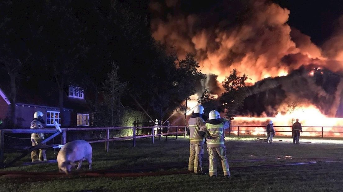 Twee varkensstallen verwoest door brand in Agelo