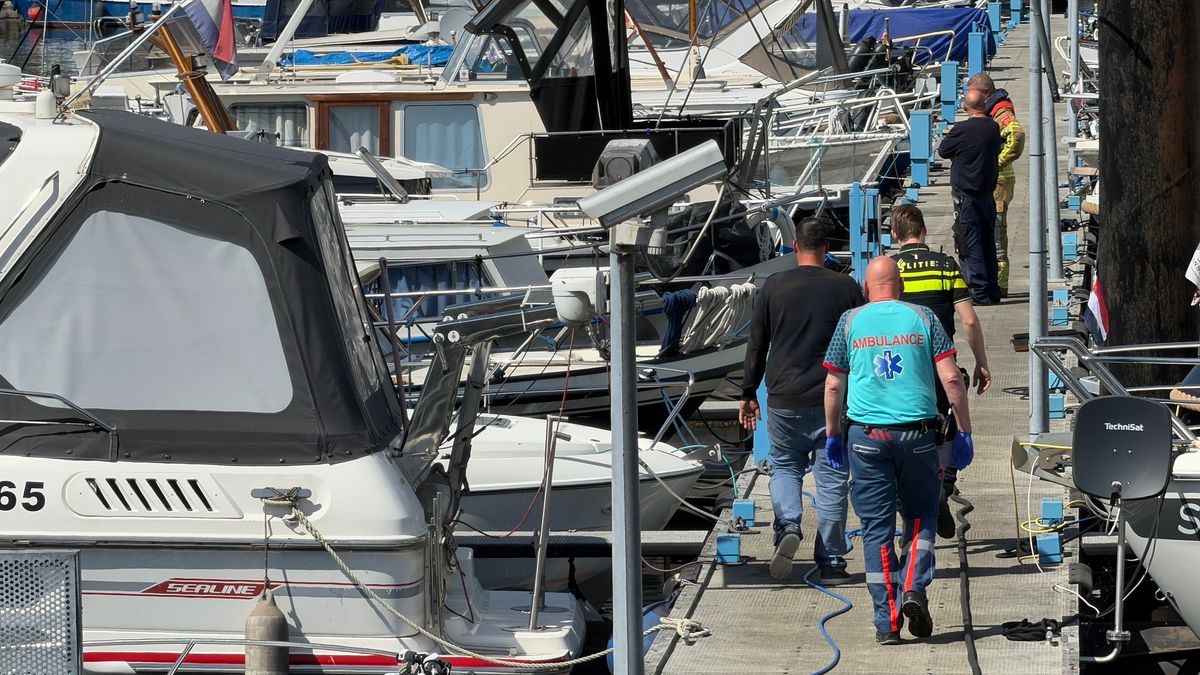 Steekvlam bij klussen aan boot in Roermond: man loopt verwondingen op
