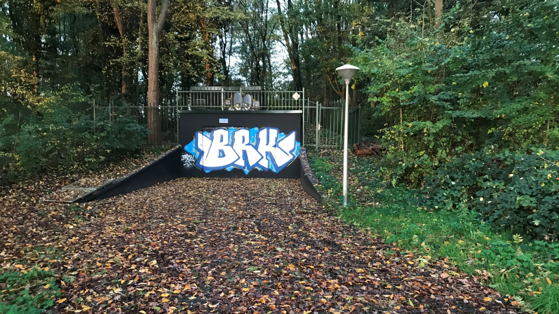 Drinkwater in Utrecht in gevaar: 113 bomen met spoed gekapt