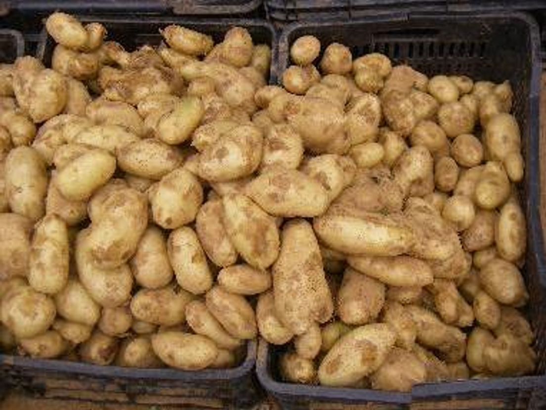 aardappels