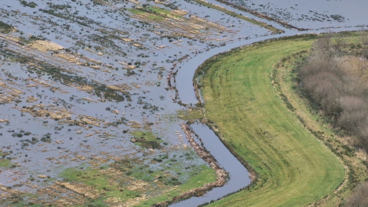 Extra polder onder water gezet: waterstand in Fryslân zakt
