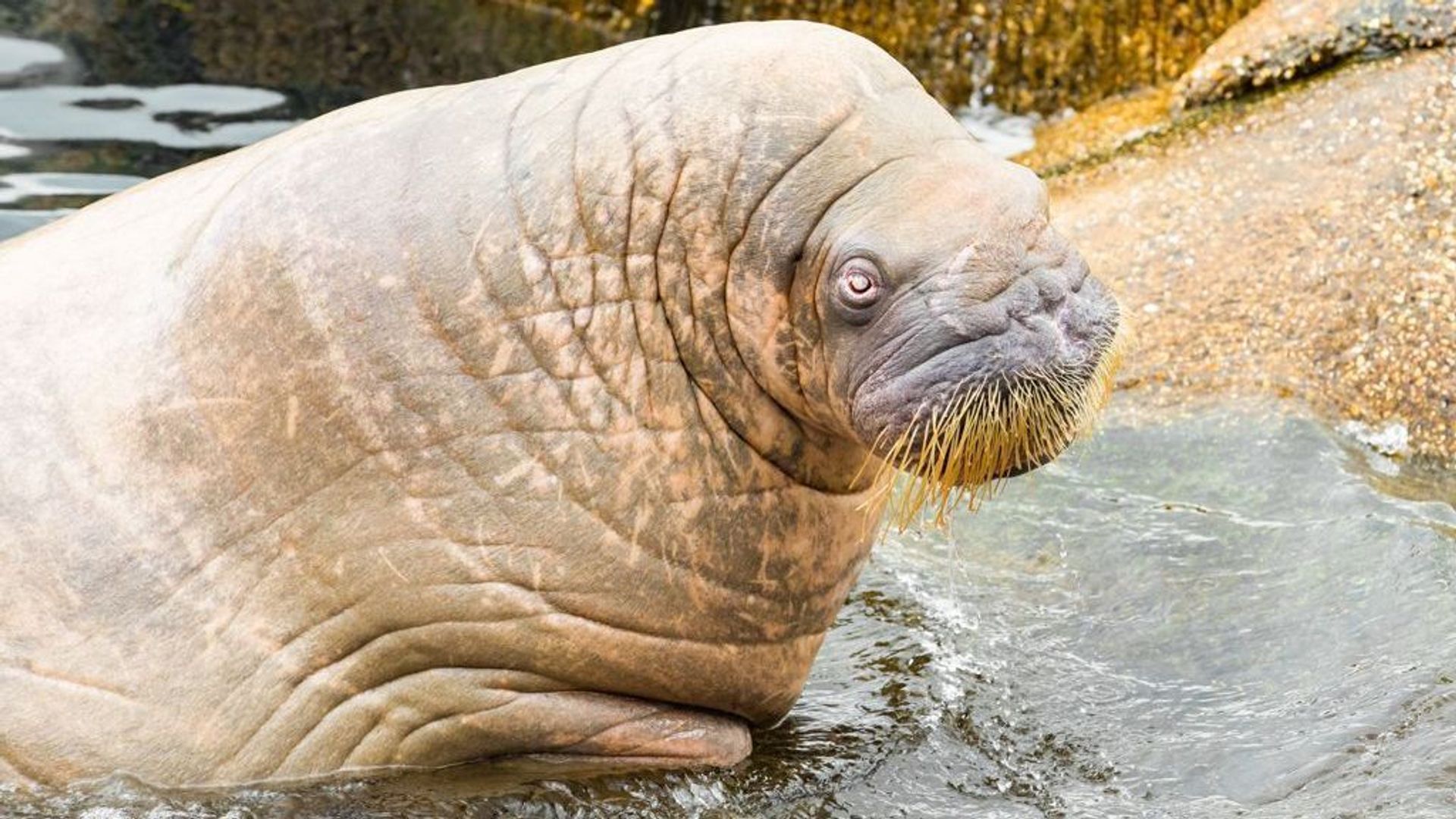 48e23e32-3b9f-3faa-8b34-