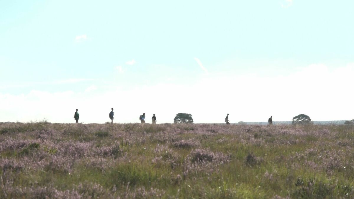 Heidevelden gemeente Westerveld gecontroleerd in brand gestoken