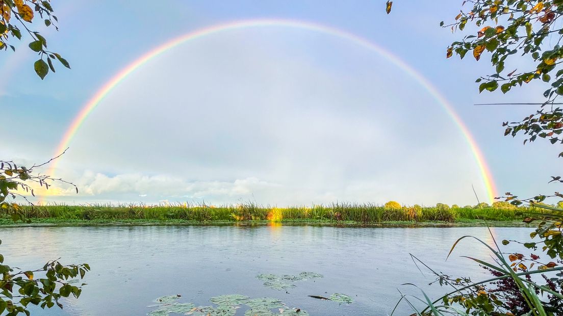 Regenboog
