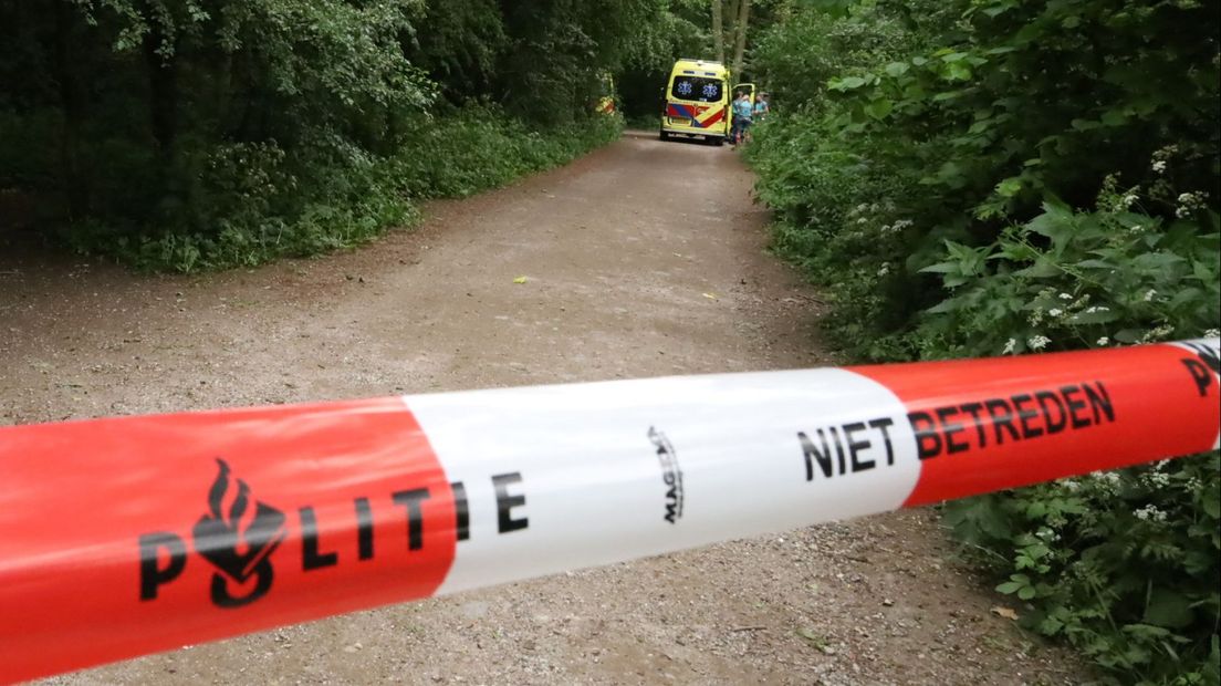 In het Staelduinse Bos is een overleden persoon gevonden