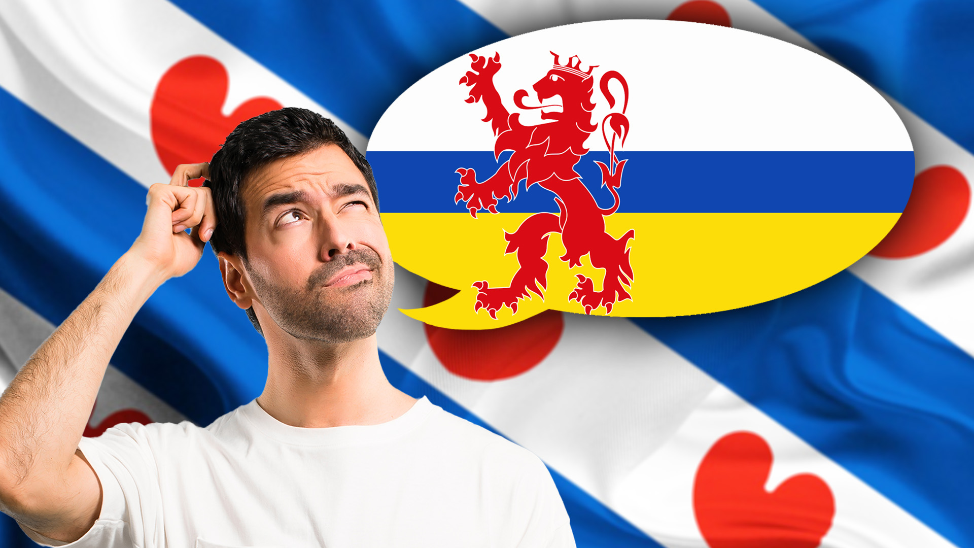 Steaten fan Limburch roppe de help fan Fryslân yn foar taalstatus