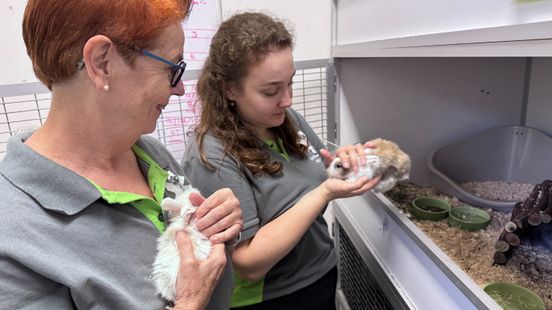 Boosheid en verdriet: konijnendumping maakt ook twee weken na dato nog indruk bij Dierenambulance Home
