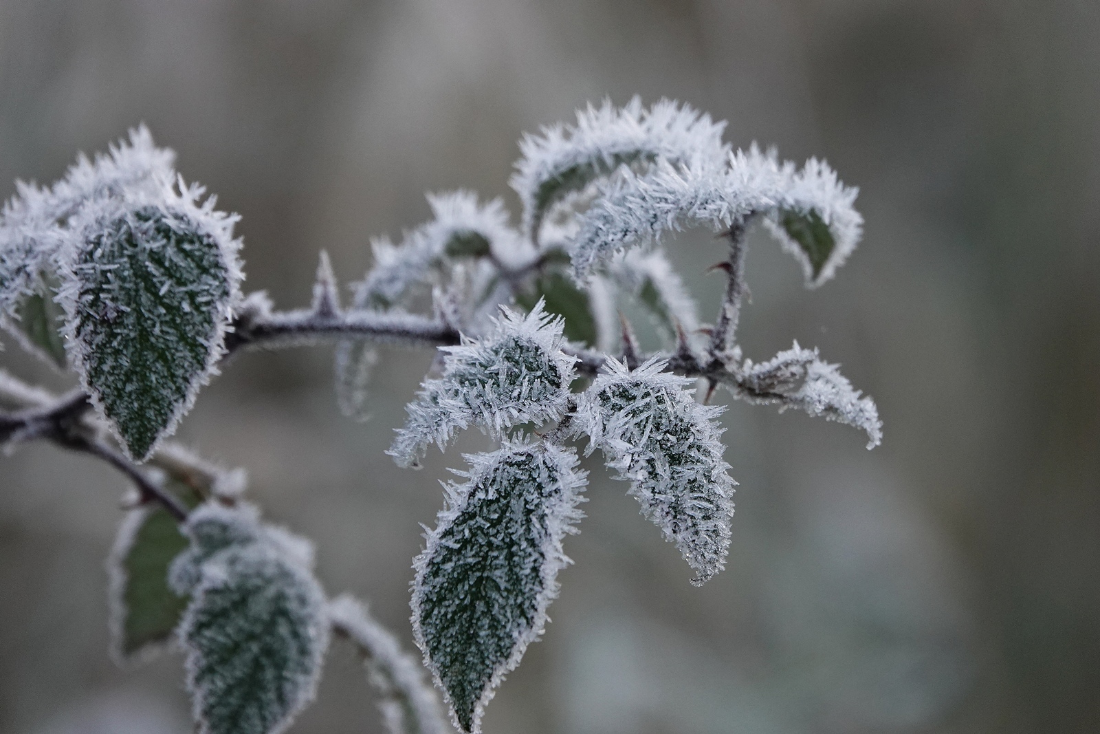 Koudste eerste kerstdag in 31 jaar