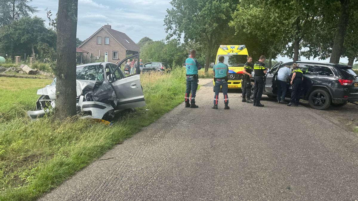 Auto's moeten voor elkaar uitwijken: één voertuig knalt tegen boom