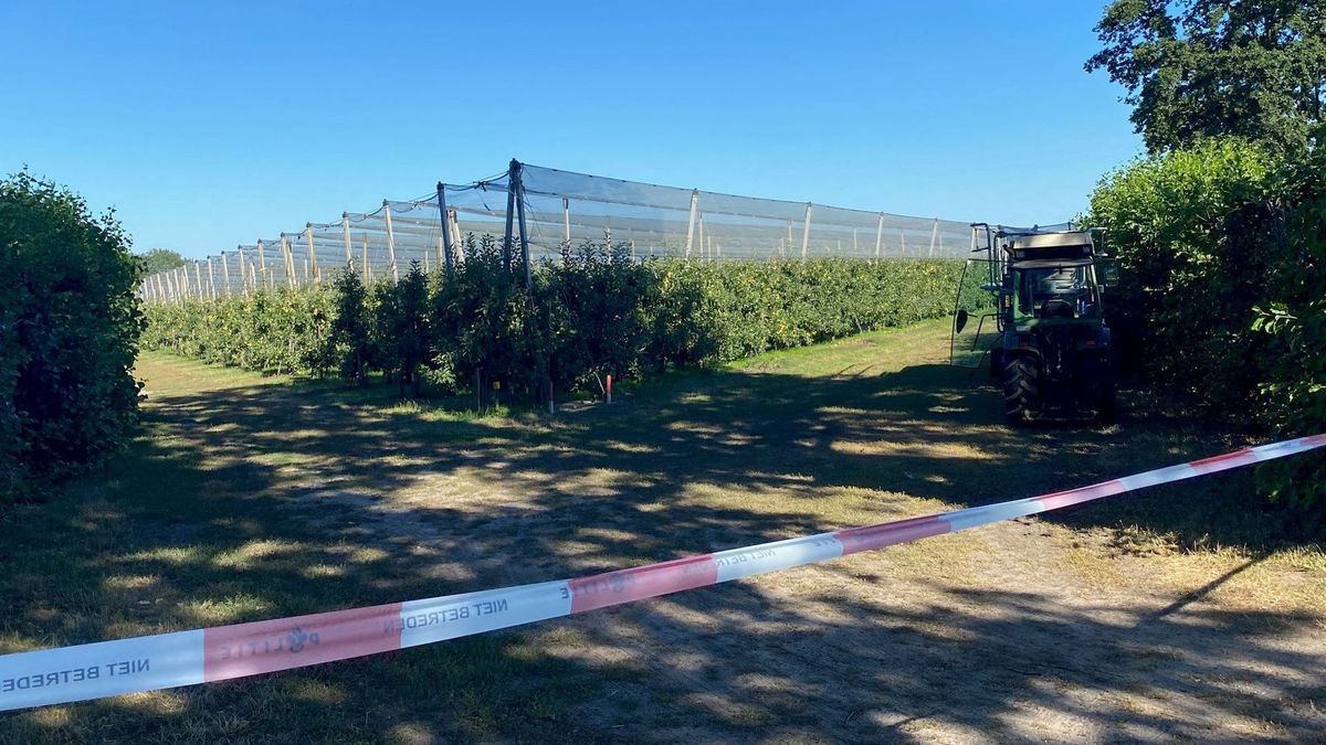 Dode bij boomgaard Oirlo niet door misdrijf overleden