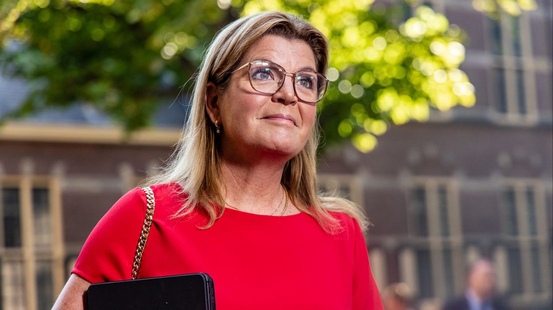 Demissionair minister Van der Wal