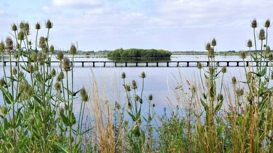 Eropuit in de natuur? Dit is er in augustus te doen in Groningen