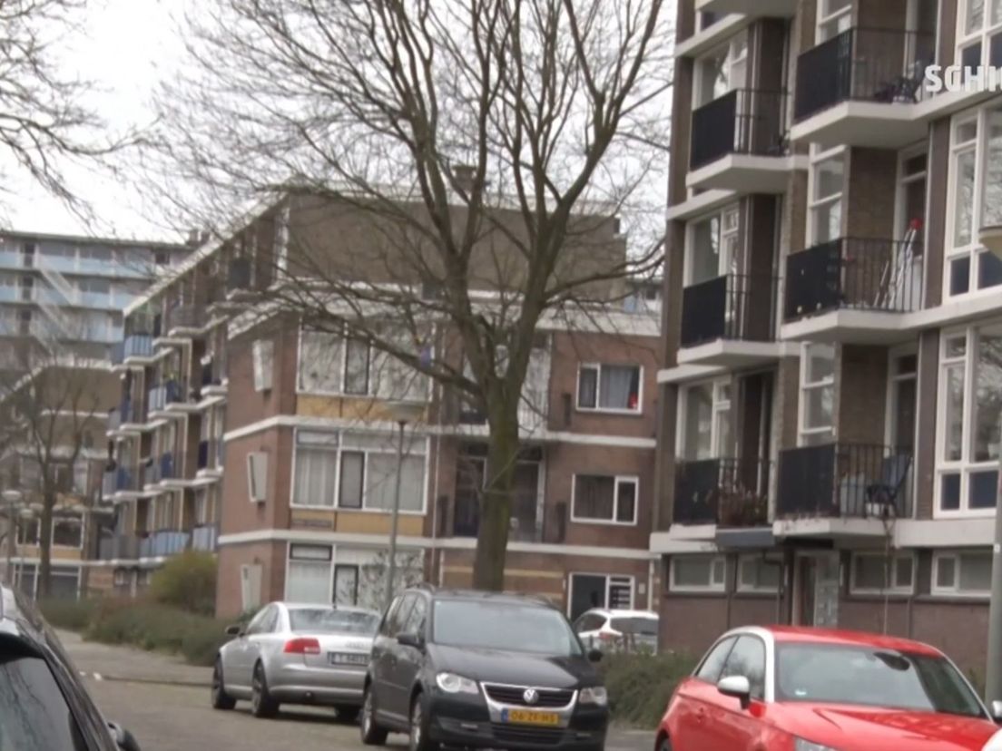 Schiedam krijgt subsidie om de jongeren in Nieuwland en Oost weerbaarder te maken