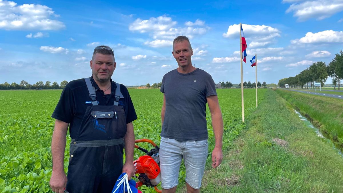 Protestvlaggen Wapserveen verplaatst: 'Dit werkt door tot aan de keukentafels'