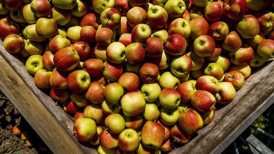 Van appeltjes speuren tot mysterieuze pakketjes: jouw weekendtips!