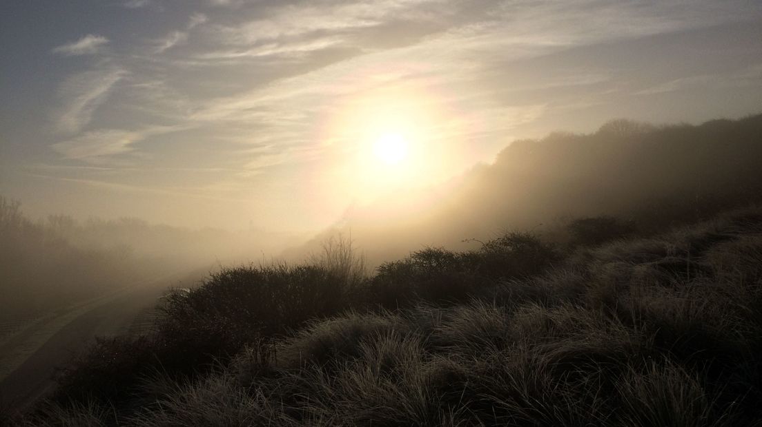 Mist in Koudekerke