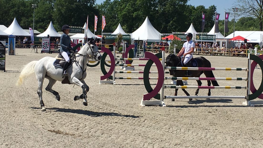 Dressuur, aangespannen sport en springen komen aan bod tijdens het CH Eext
(Rechten: RTV Drenthe/Marjolein Lauret)