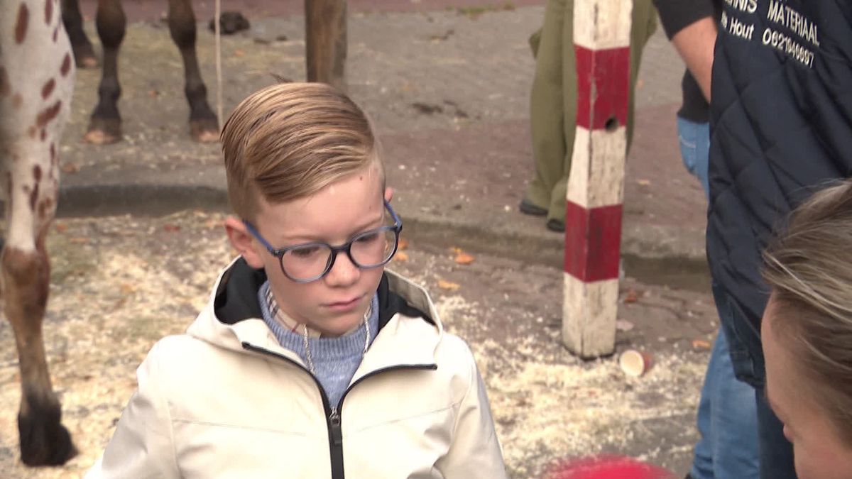Wie net als Ruben (7) op zoek is naar een pony kan al bijna 300 jaar terecht in Roden