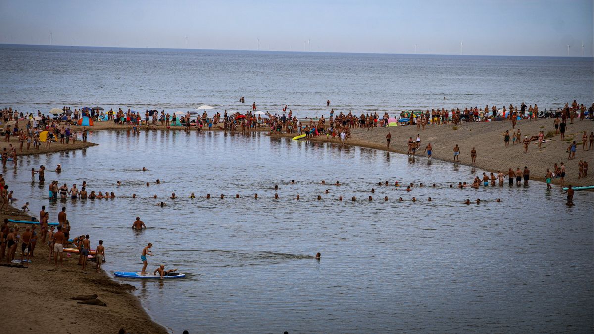 Grote zoekactie naar vermist meisje, kind op strand gevonden