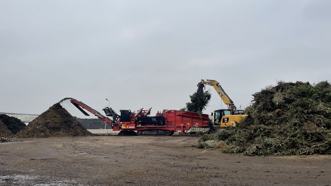 De berg kerstbomen (rechts) gaat in de versnipperaar (midden) en komt er als pulp uit (links)