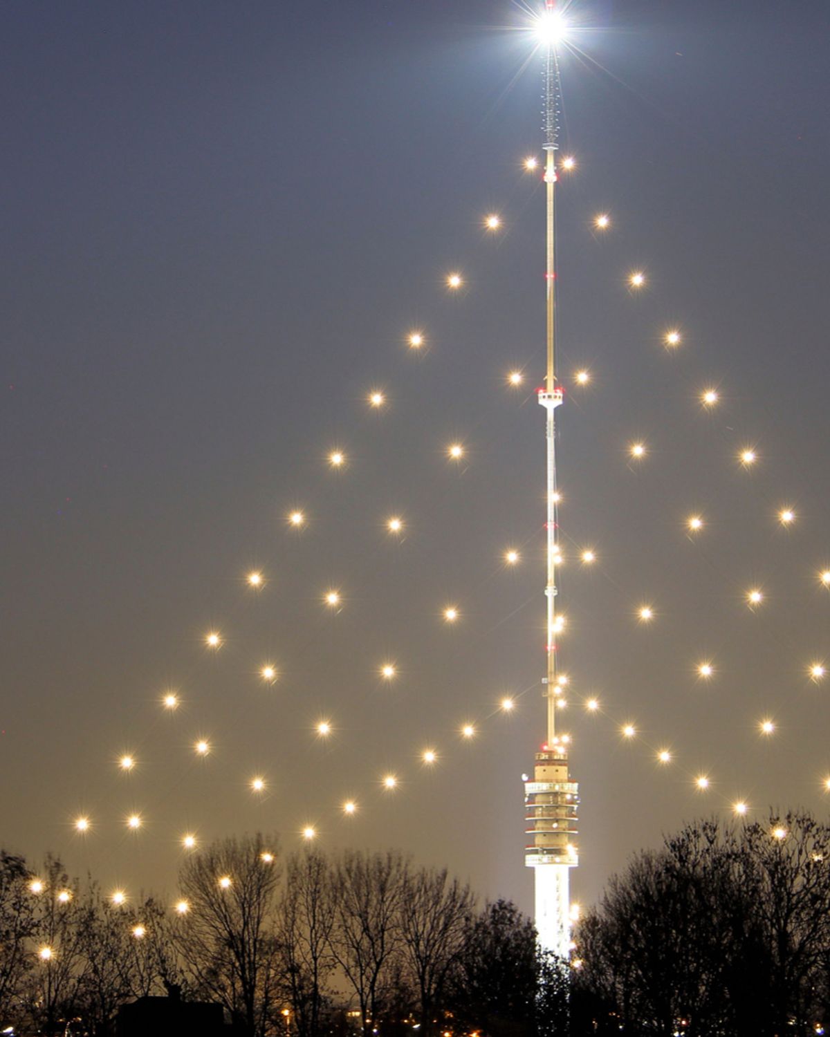 Haal je Duurzame Kerstboom op bij Haarlem - Houtbaar in Haarlem