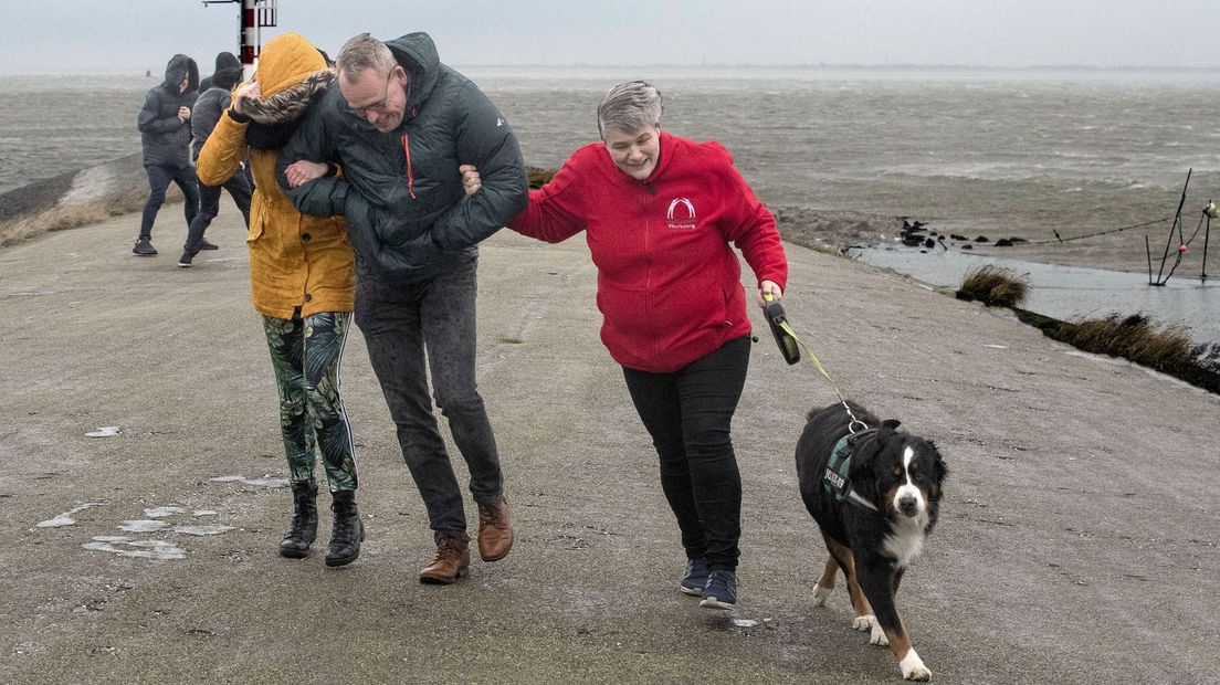 Mensen trotseren samen met hun hond de storm