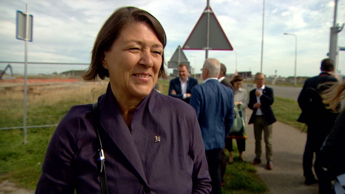 Zeeland en Vlaanderen dringen aan op nieuwe haventreinen