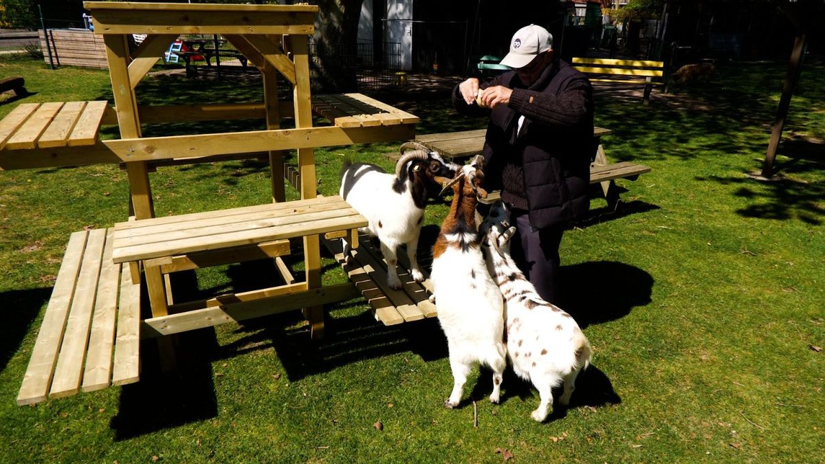 Wie gooit beschimmeld eten en hondenpoep bij kinderboerderij over het hek?
