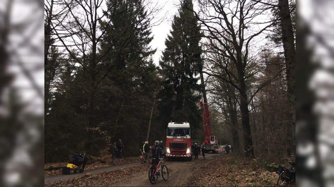 De kerstboom werd gekapt in het Valtherbos (Rechten: RTV Drenthe/Janet Oortwijn)