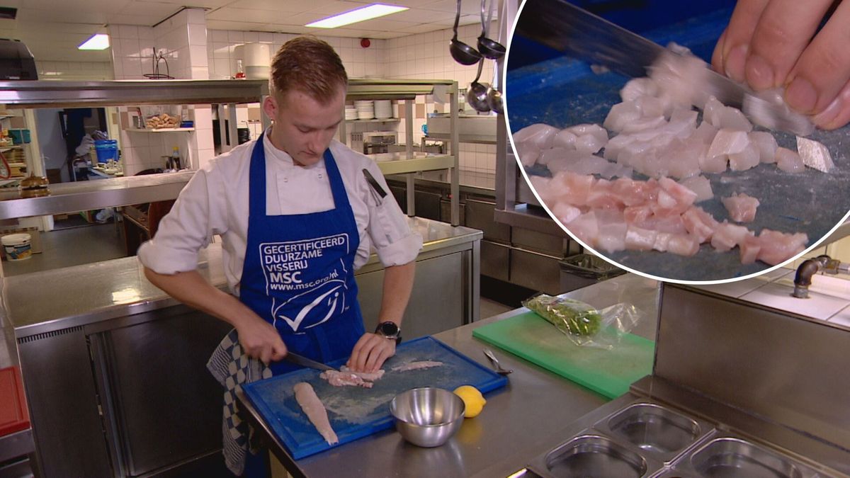 Eerste duurzame visrestaurant van Nederland in Zeeland: 'Een goede toekomst voor onze kinderen'