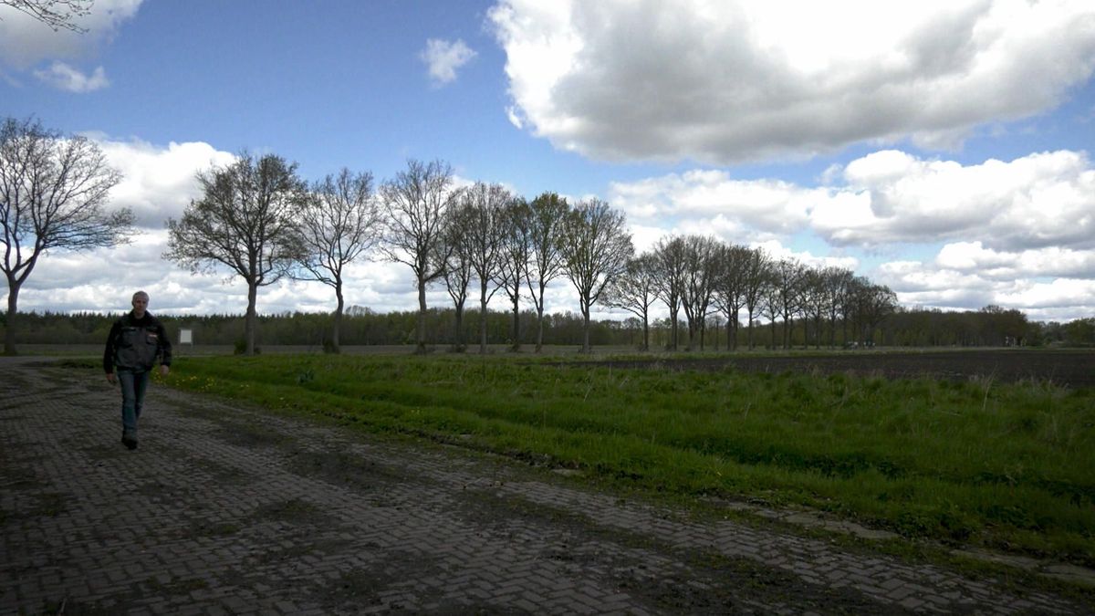 Natuurboer Otto Willem Eleveld experimenteert met mengteelt