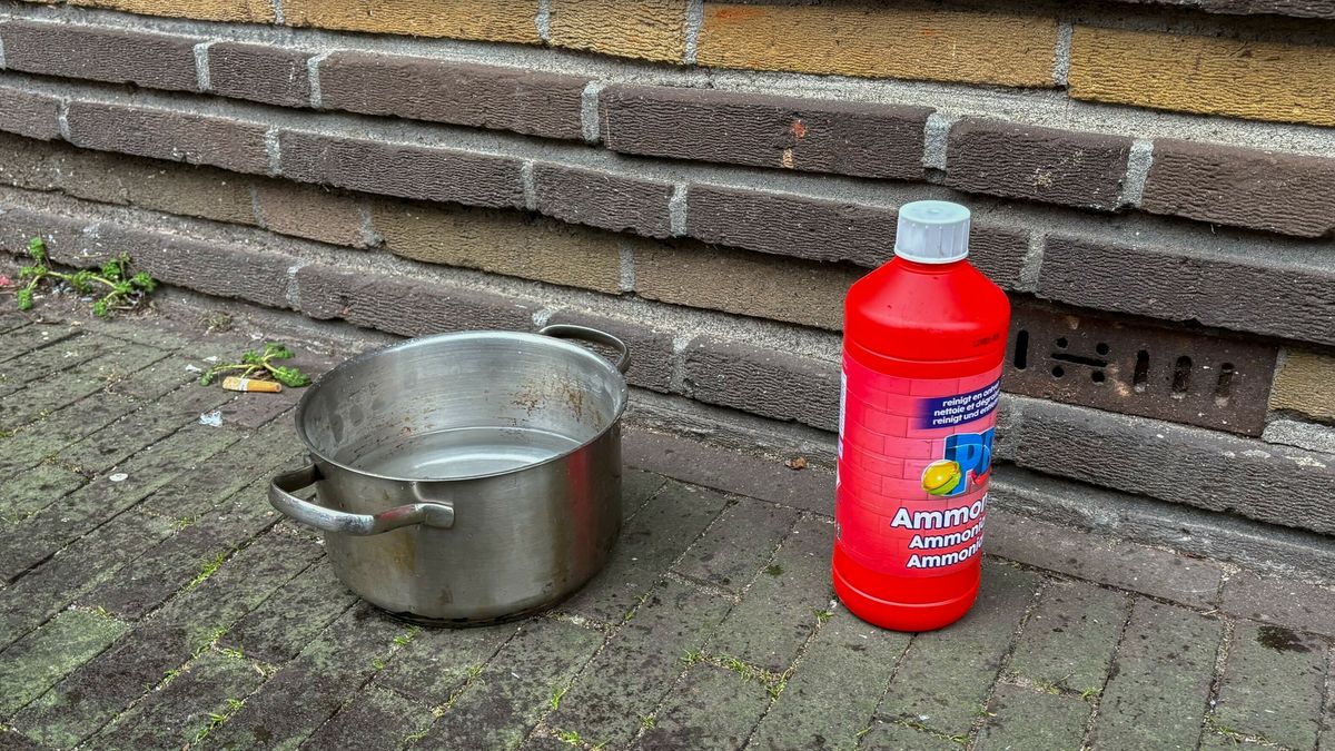 Persoon mogelijk overgoten met ammoniak na ruzie | Hovenier gewond door omvallende boom