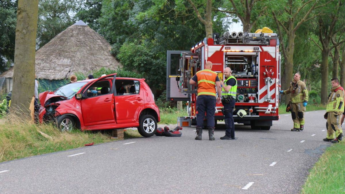 Auto botst frontaal op boom in Rhenen, 3 gewonden