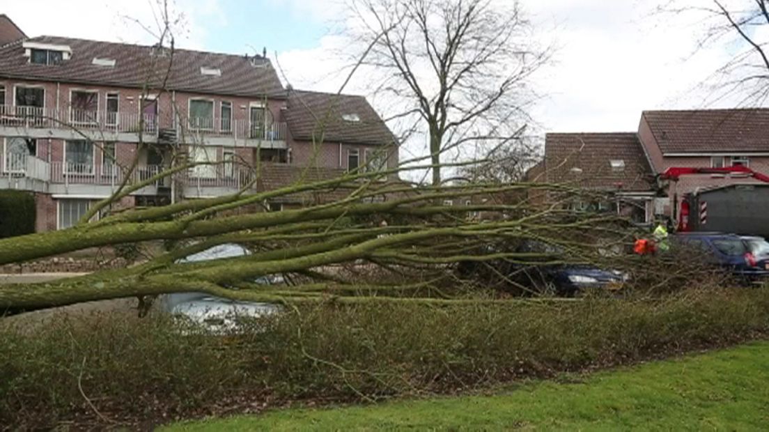 Boom valt op drie auto's in Baarn