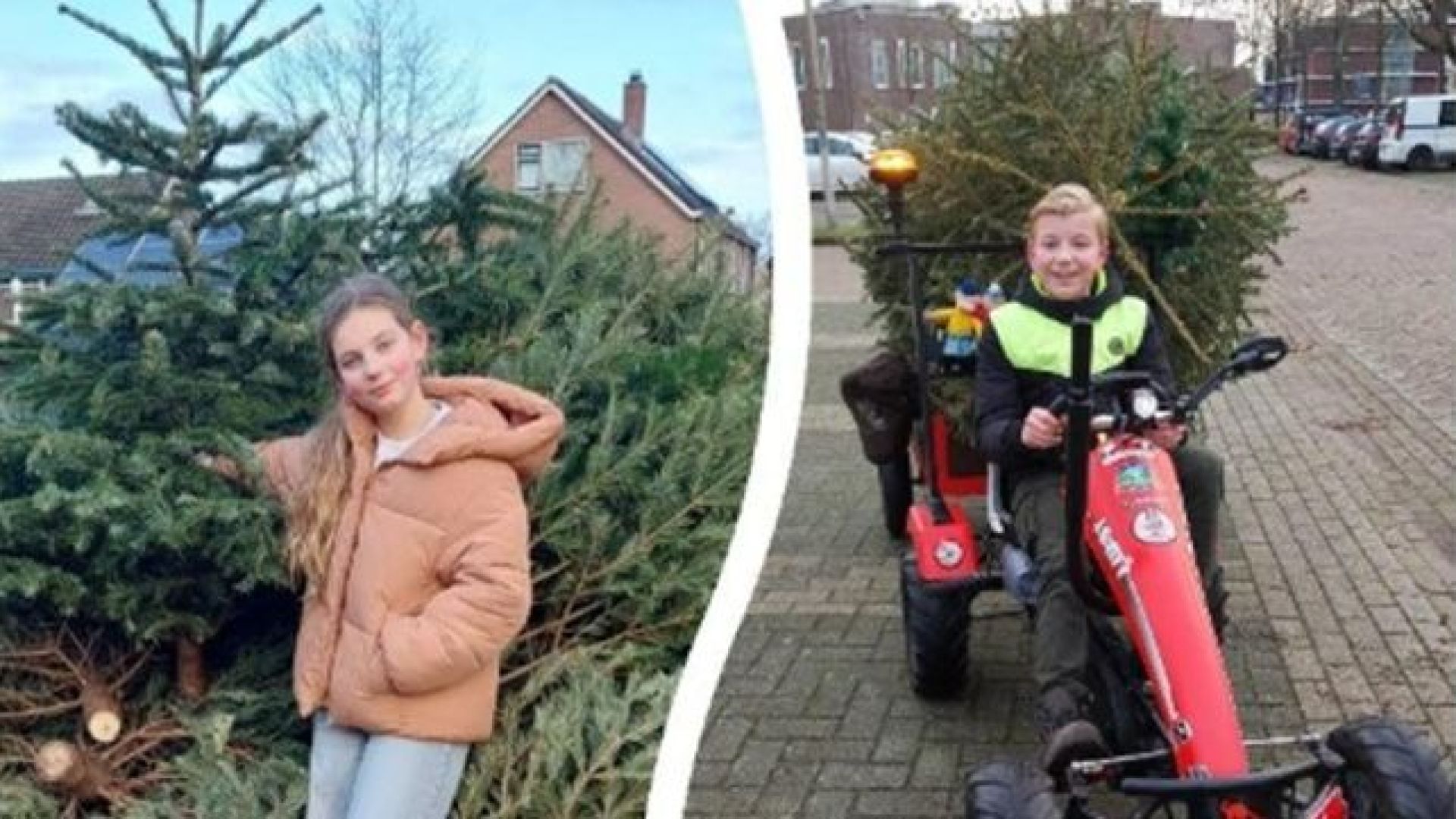 Kinderen zamelen kerstbomen in voor 50 cent per boom.