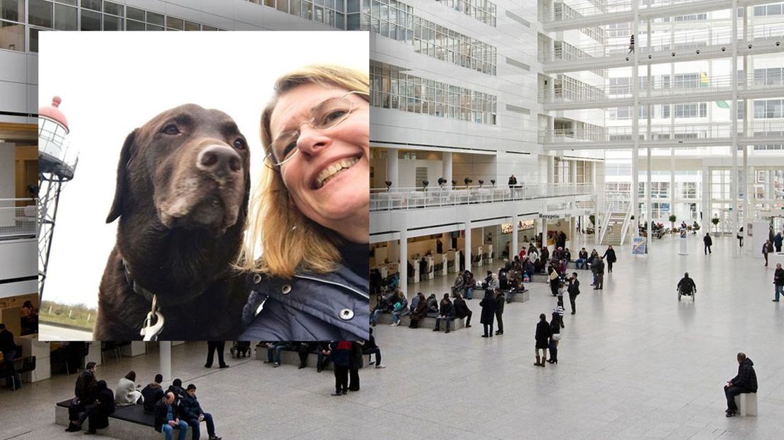 Pauline Krikke en haar hond Harley mogen nu samen het Stadhuis in Den Haag binnen (Fotobewerking: Omroep West)
