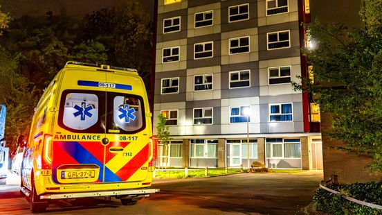 Steekpartij onder brug, één gewonde