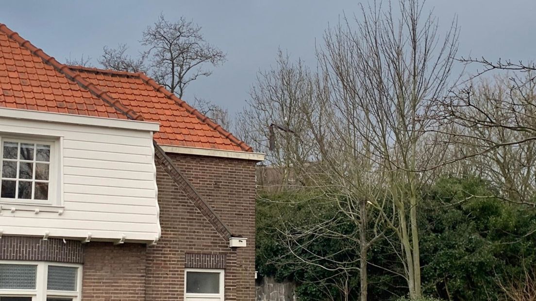 Stuk dakbedekking in boom nadat het van Vlissings flatgebouw afwaaide, Boulevard Evertsen, storm Evert