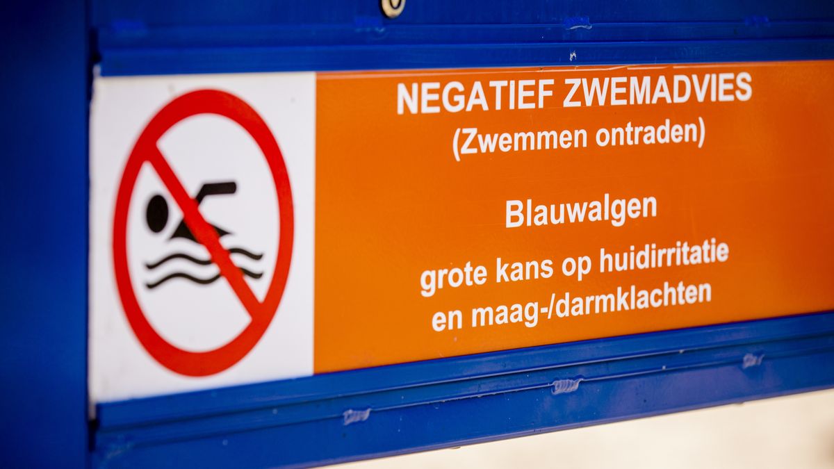 Provincie waarschuwt voor blauwalg in recreatievijver Emmer-Compascuum