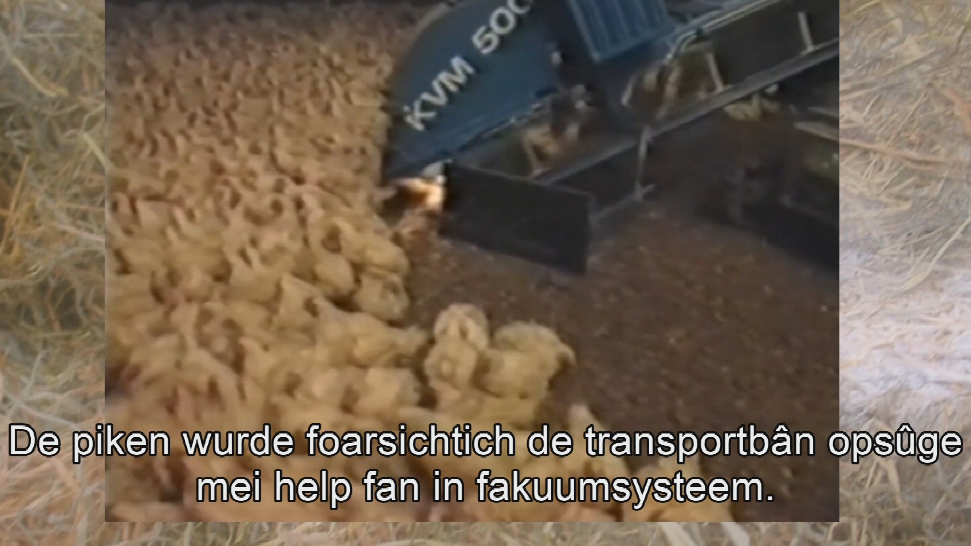 In fragmint út in promoasjefilmke fan de pikefangmasine