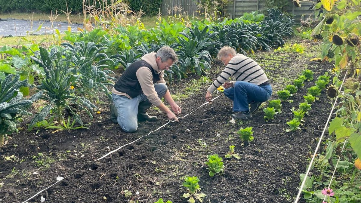 Sociaal werk in zelfoogsttuin Appingedam: 'Alles komt hier samen wat ik mooi vind'