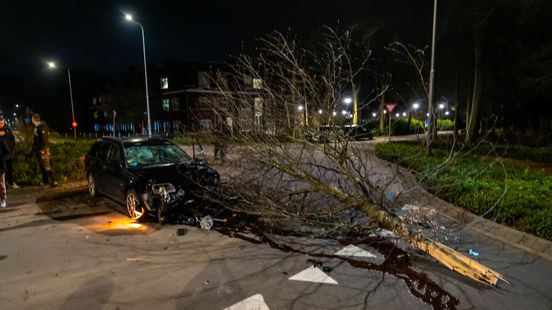 Auto rijdt over rotonde en rijdt boom uit de grond, bestuurder vlucht