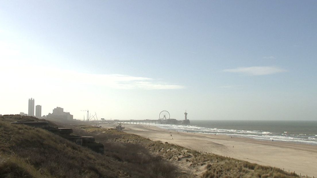 Hollandse Duinen | Beeld : Omroep West