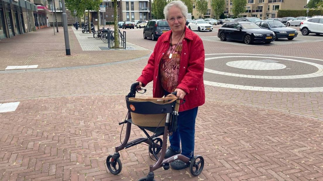 Willy van der Hoeven