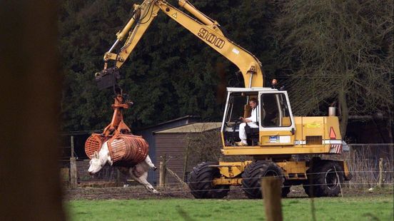 Tijdlijn en cijfers: dit gebeurde er tijdens de MKZ-crisis